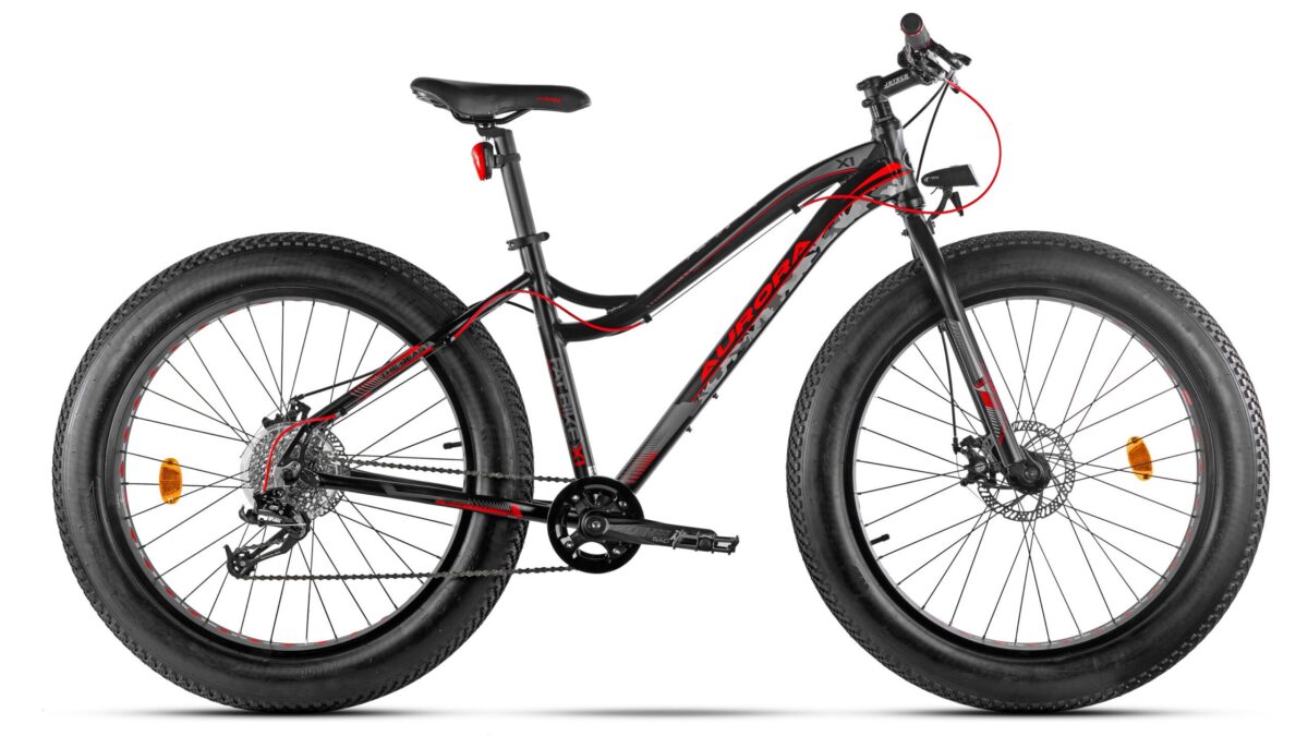 FAT-BIKE X1 - Imagen 2