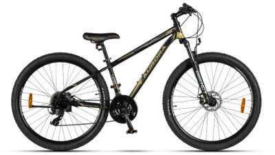 650 ASXD negro / dorado