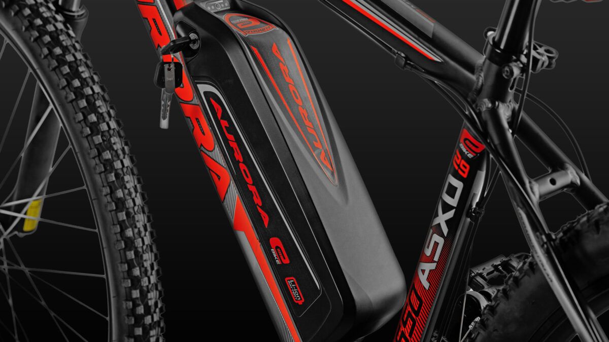 e-Bike 650 ASXD - Imagen 2