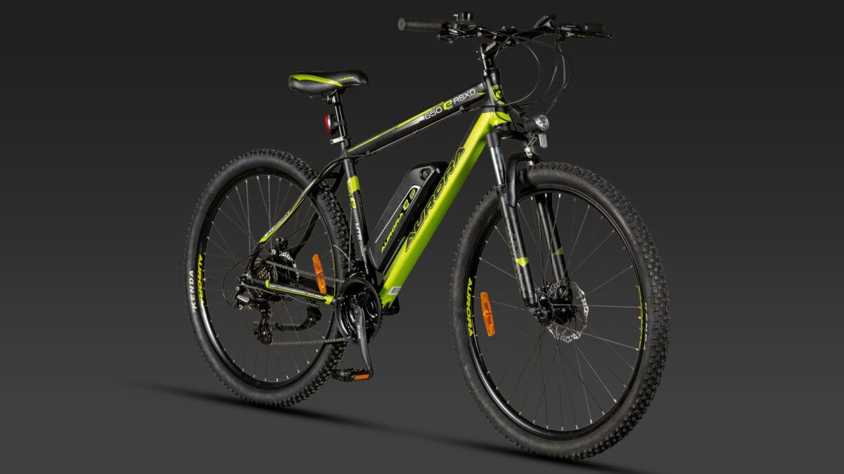 e-Bike 650 ASXD
