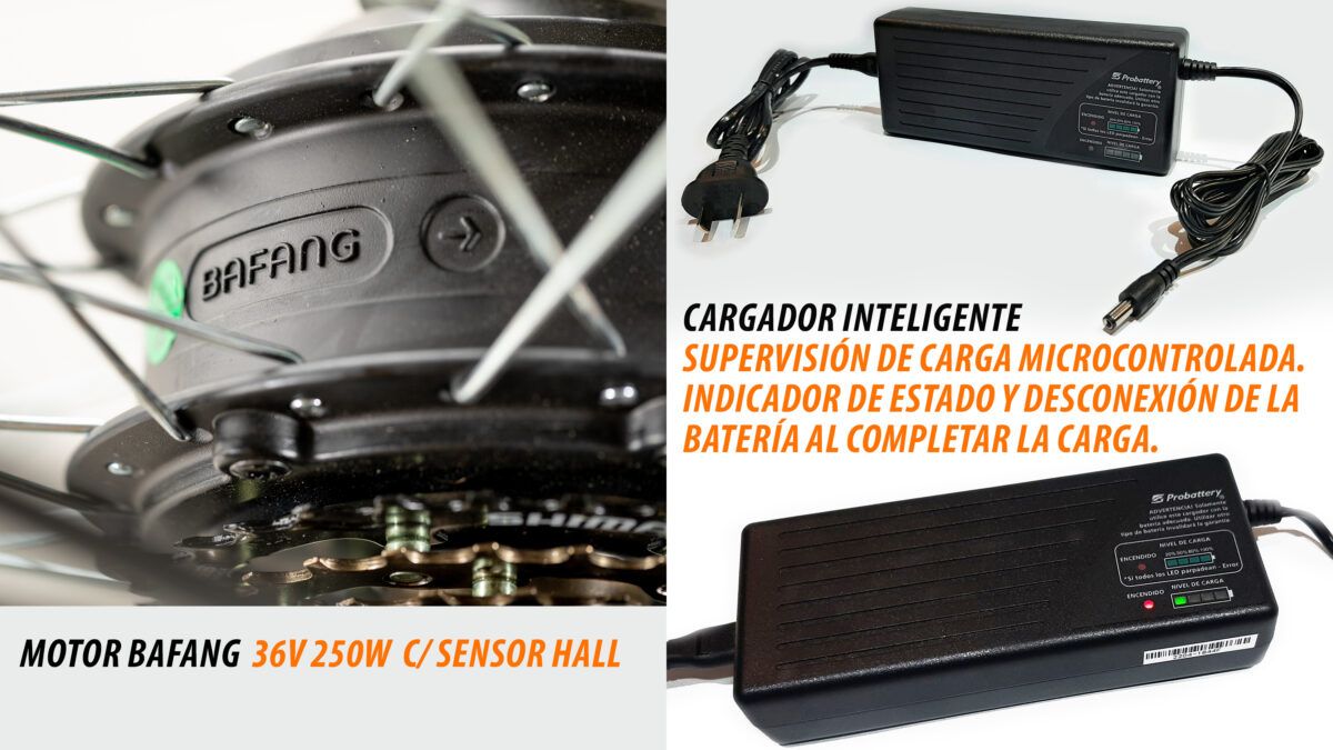 MOTOR Y CARGADOR EBIKES 2023